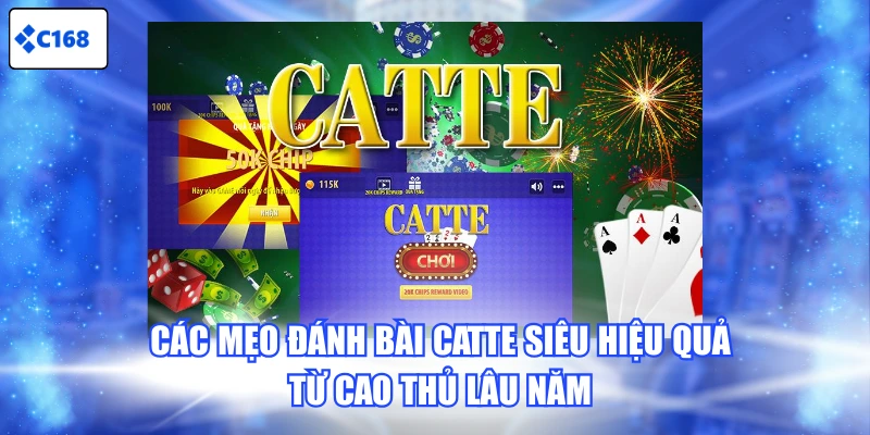 Các mẹo đánh bài Catte siêu hiệu quả từ cao thủ lâu năm