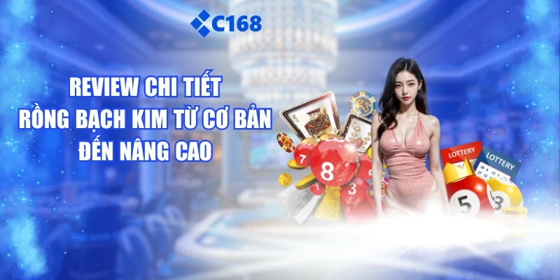 Review Chi Tiết Rồng Bạch Kim Từ Cơ Bản Đến Nâng Cao
